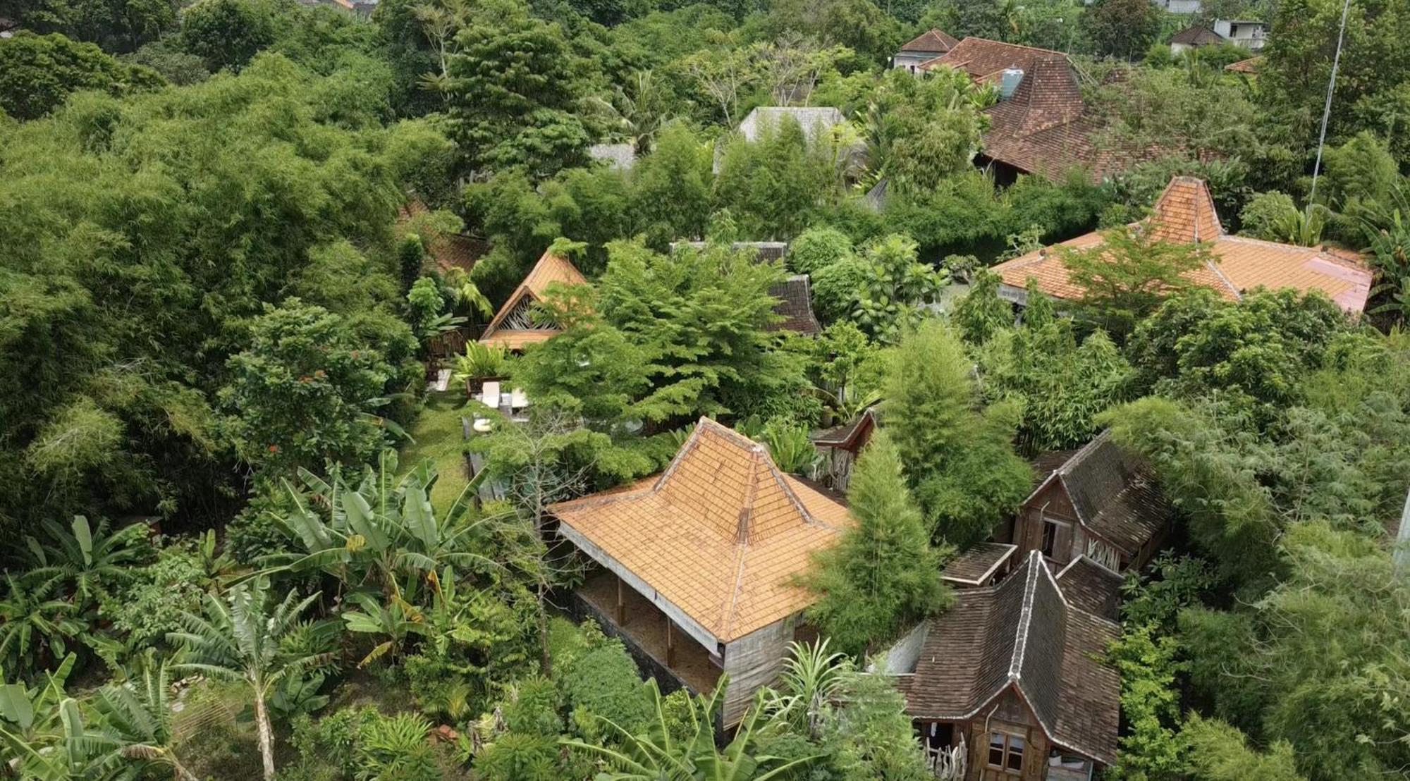 Ubuntu Bali Eco Yoga Retreat - Canggu Екстер'єр фото