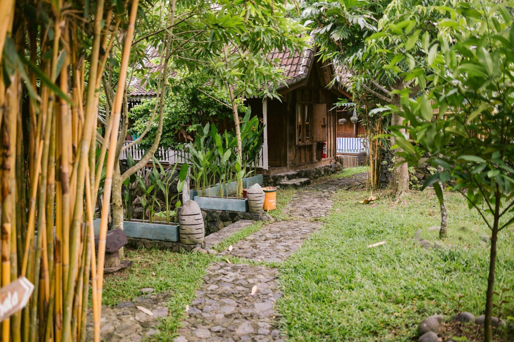 Ubuntu Bali Eco Yoga Retreat - Canggu Екстер'єр фото
